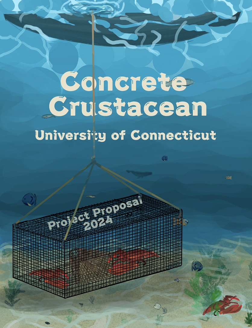 concrete crustacean design paper cover which is an underwater view of a lobster cage hanging from a rope connected to a concrete canoe above